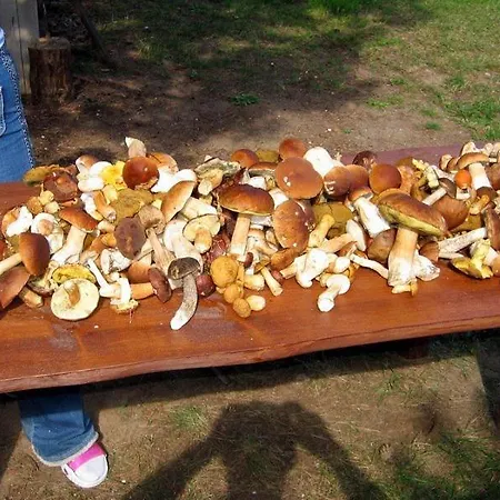 Pokoje, Noclegi, Mazury Narty Privat bolig